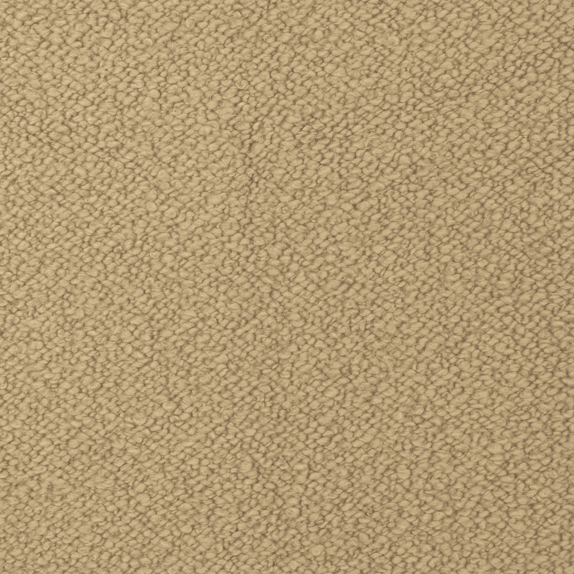 Material Swatch - [ Airlie Camel ]