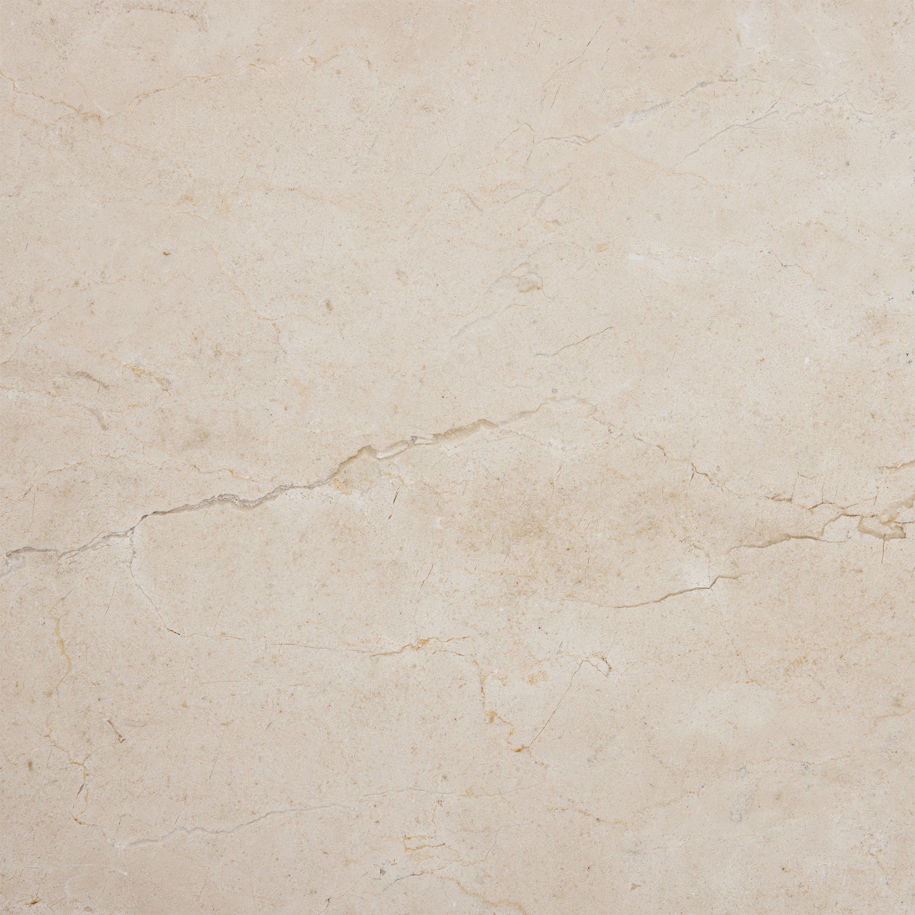 Material Swatch - [ Marble Cosmos Crema ]