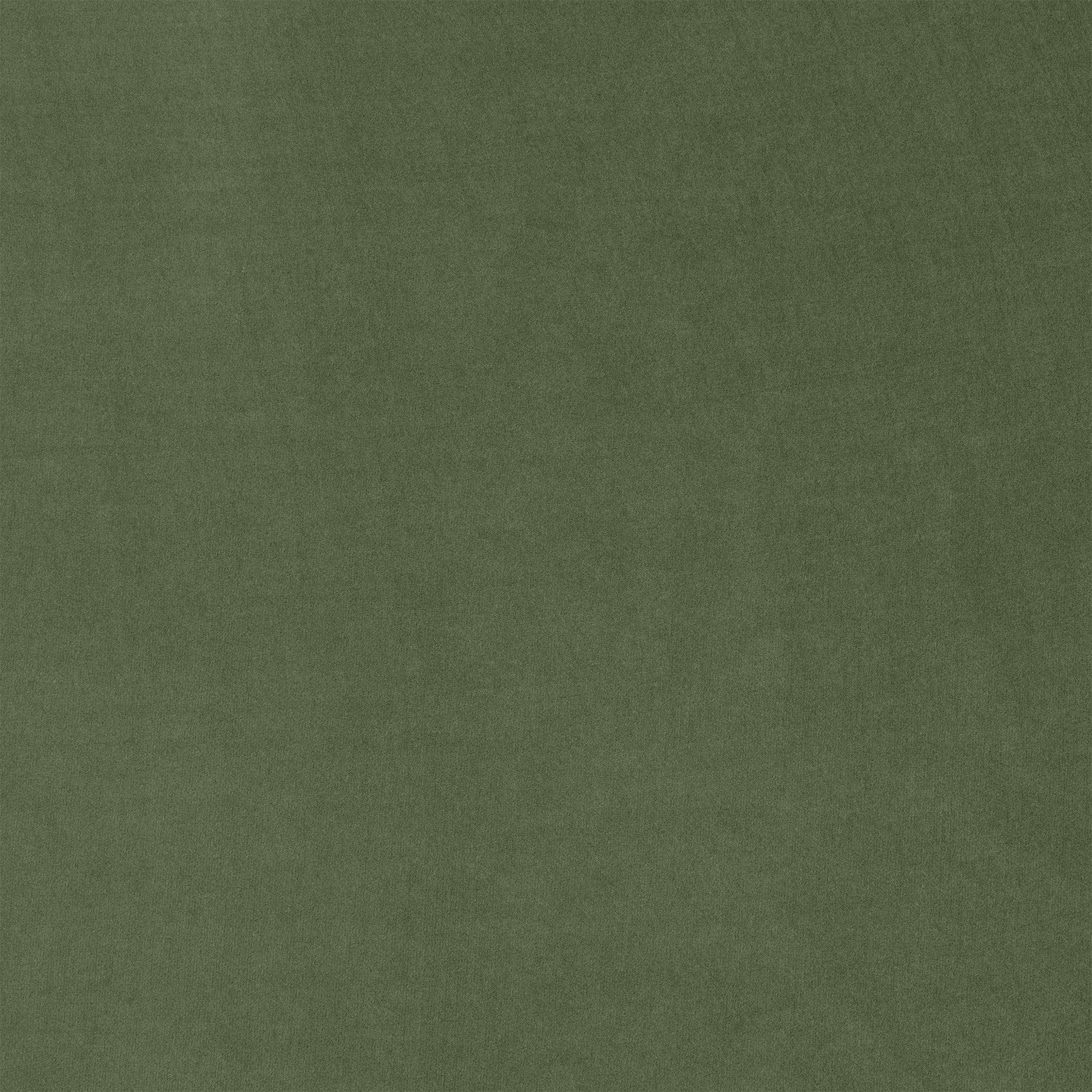 Material Swatch - [ Malibu Willow ]