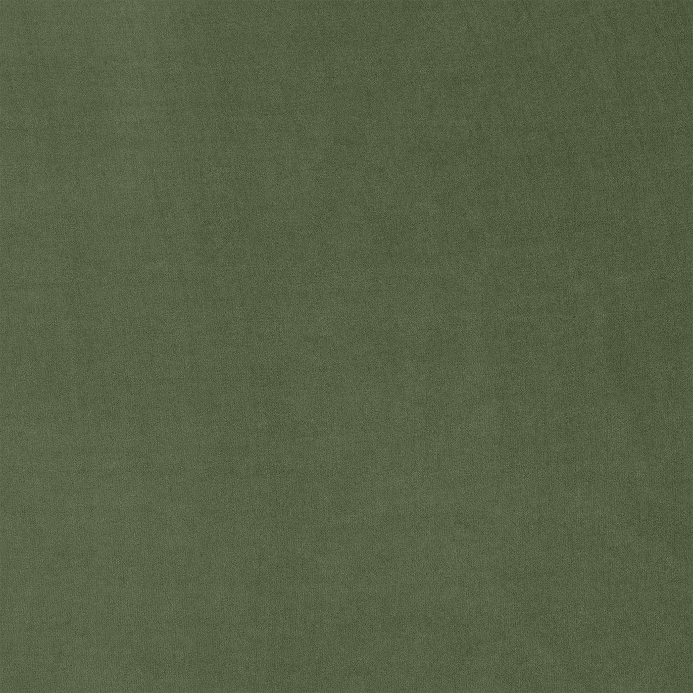 Material Swatch - [ Malibu Willow ]