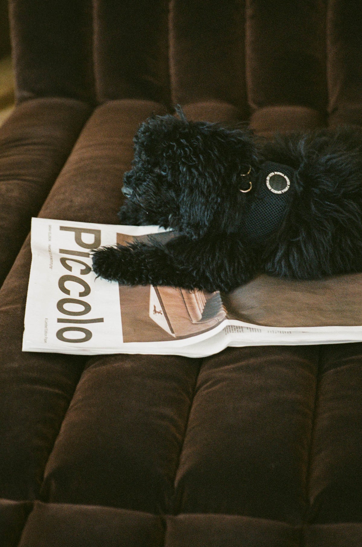 EXTRA! EXTRA! – ELLISON STUDIOS.