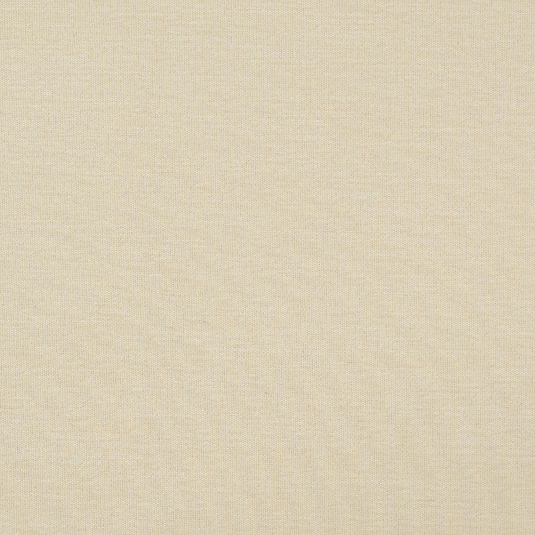Material Swatch - [ Salento Butter ]