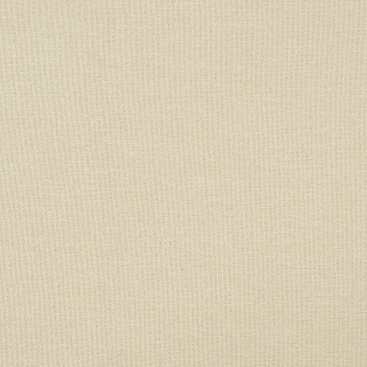 Material Swatch - [ Salento Butter ]