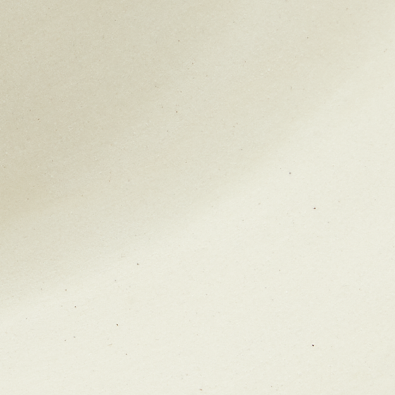 Material Swatch - [ Parchment ]