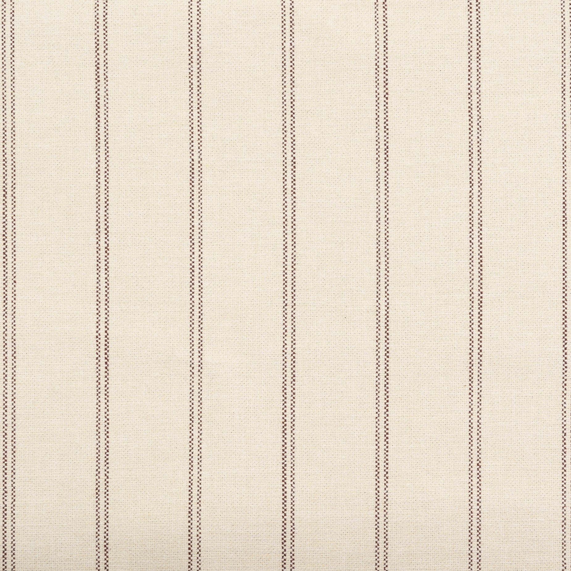 Material Swatch - [ Terra Crema ]